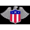 EAGLE SHIELD USA WING PIN